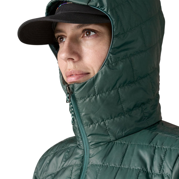 Patagonia Women's Nano Puff Fitz Roy Trout Hoody 2025