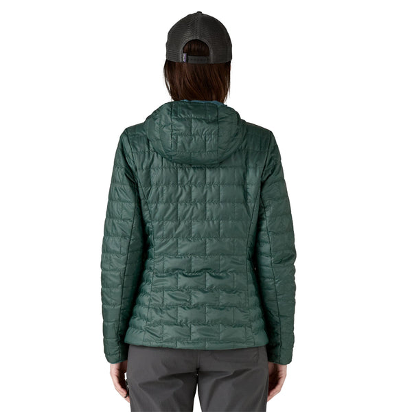 Patagonia Women's Nano Puff Fitz Roy Trout Hoody 2025