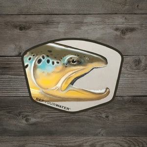 A Rep Your Water Trout Portrait Sticker, featuring a custom brown trout graphic, on a wood grain background.