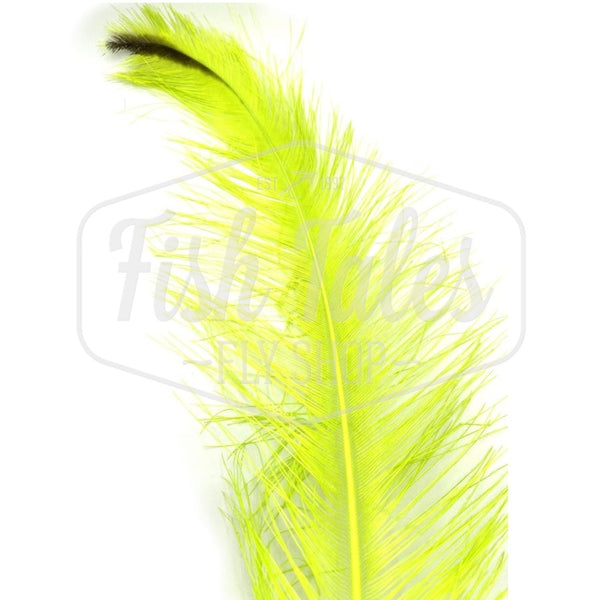 Dyed Rhea Feather