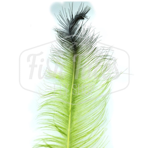 Dyed Rhea Feather