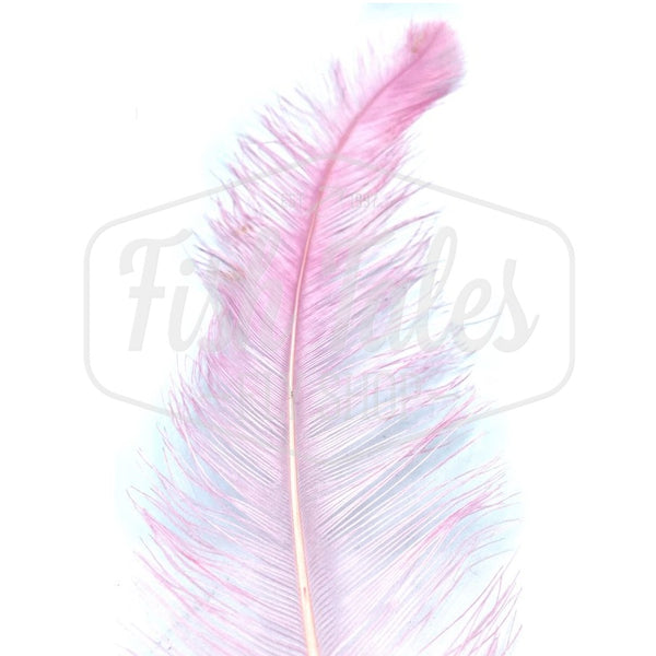 Dyed Rhea Feather