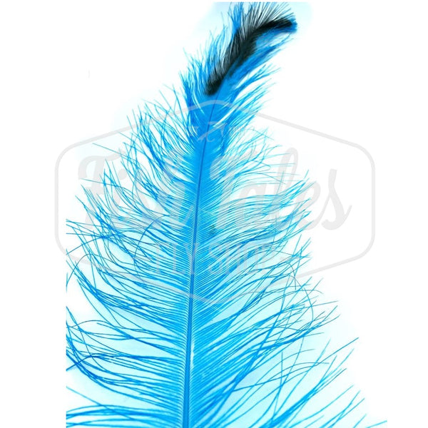 Dyed Rhea Feather