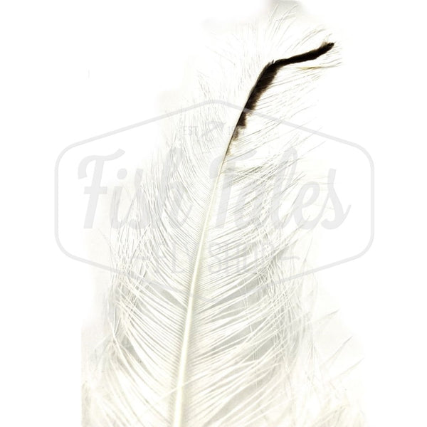 Dyed Rhea Feather