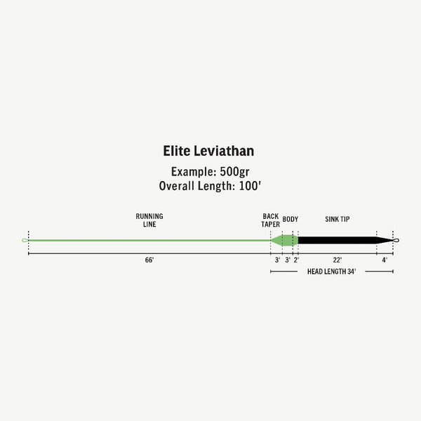 Black and white RIO Elite Leviathan 26' Sink Tip Tropical Fly Line taper diagram.