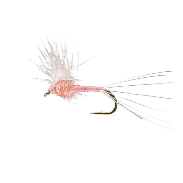 Rio Flies Hackle Stacker Dry Fly