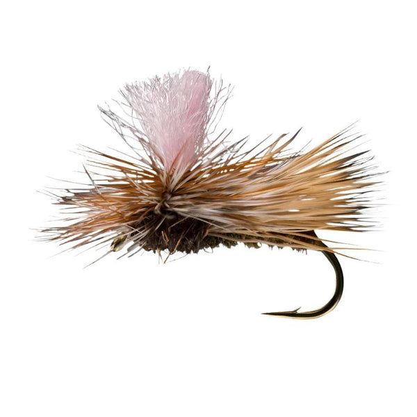 A single dark olive bodied parachute caddis dry fly on a white background.