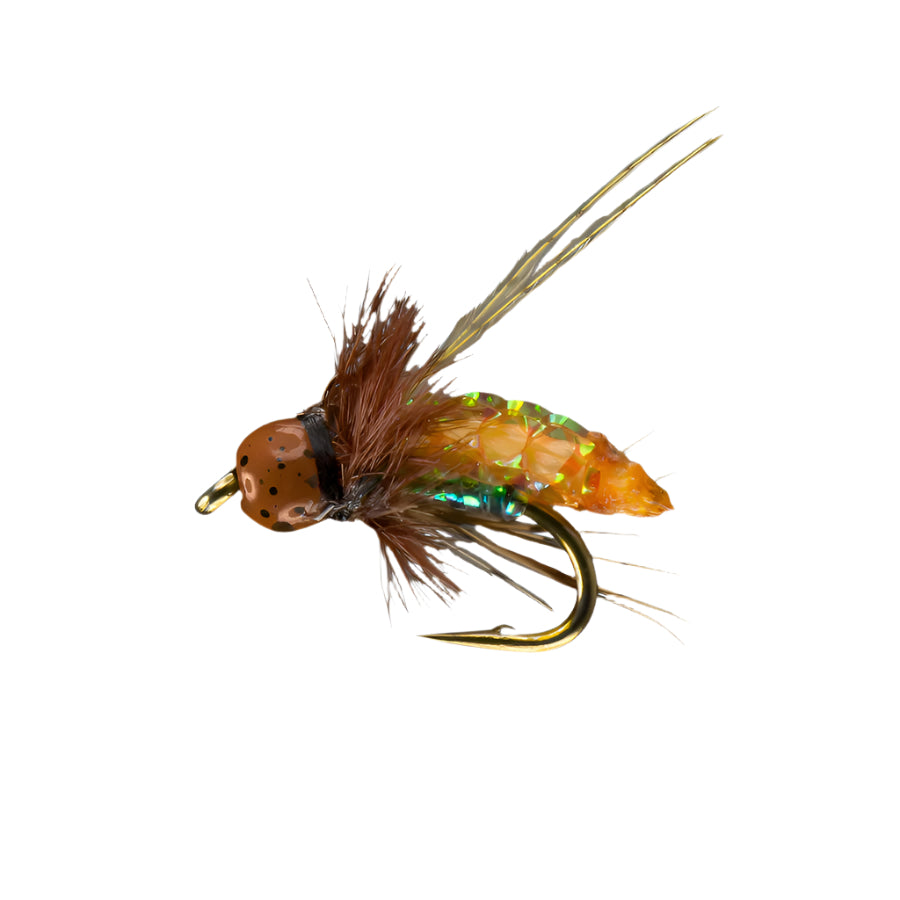 Rio Flies PC Pupa TB Caddis Nymph | Freshwater Trout Flies – Fish
