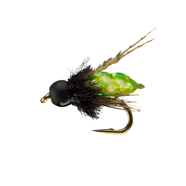 Rio Flies PC Pupa TB Caddis Nymph