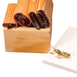 A River Road Creations Tomsu Supreme Hopper Foam Cutter Set, showing the set of 4 body part cutters, the wooden tool caddy, the cutting pad, and an example completed Tomsu Supreme Foam Hopper Fly, against a white background.