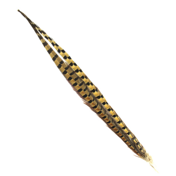 Shor Ring Necked Pheasant Tail Feathers