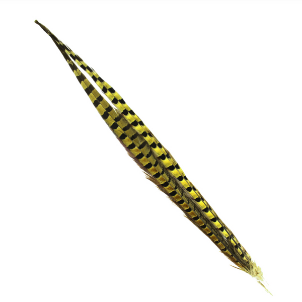 Shor Ring Necked Pheasant Tail Feathers