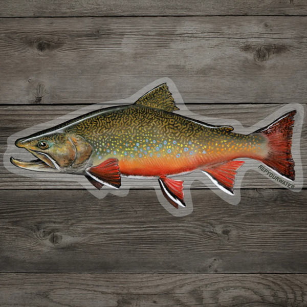 Rep Your Water Sticker Brookie