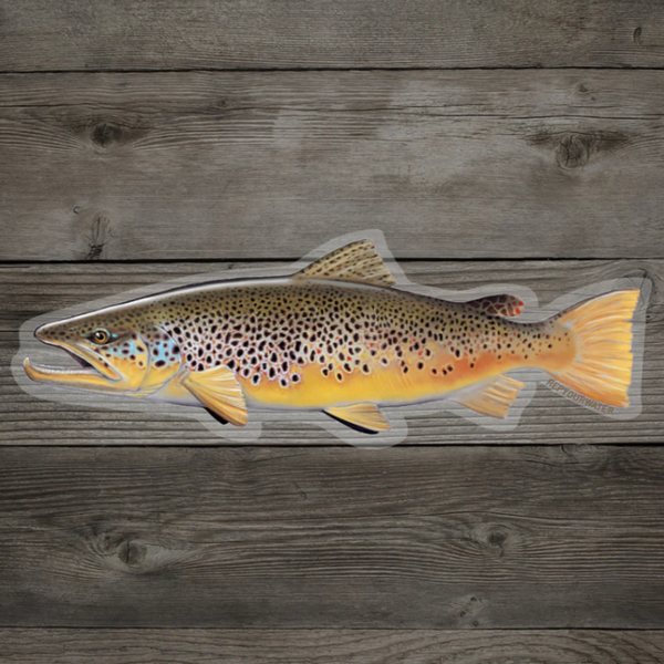 Rep Your Water Sticker Brown Trout