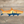 Rep Your Water Tarpon Sunrise Sticker
