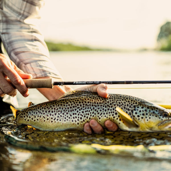 Sage Classic R8 Freshwater Fly Rod