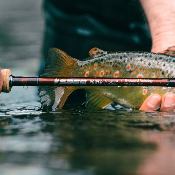 Sage Power R8 All-Water Fly Rod