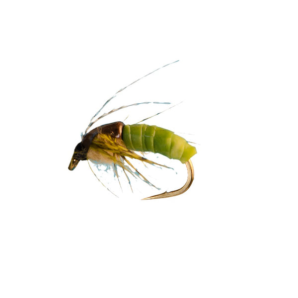 SB Flies Realistic Caddis Pupa