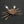 Artificial crab fly tied with the Semperfli ABC Crab Legs and Claws Skeleton on a dark background..