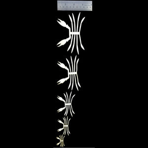 Semperfli ABC Crab Legs and Claws Skeletons for fly tying with ruler for measurement on a black background.