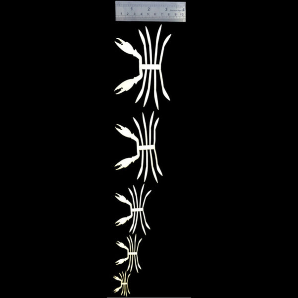 Semperfli ABC Crab Legs and Claws Skeletons for fly tying with ruler for measurement on a black background.