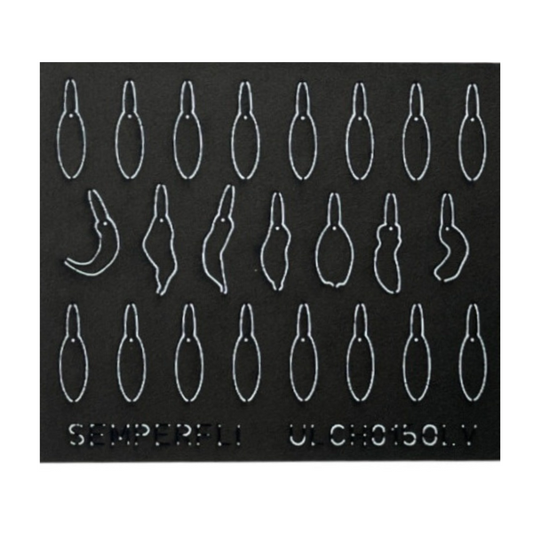 Sheet of black Semperfli ABC Leech Bodies on a white background.