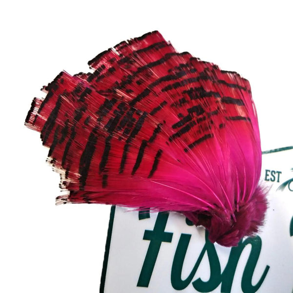 Shor Dyed Golden Pheasant Tippet Feathers