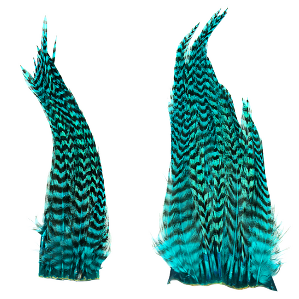 Shor Genetic Rooster Hackle Mini Pack