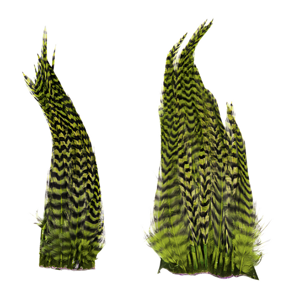 Shor Genetic Rooster Hackle Mini Pack