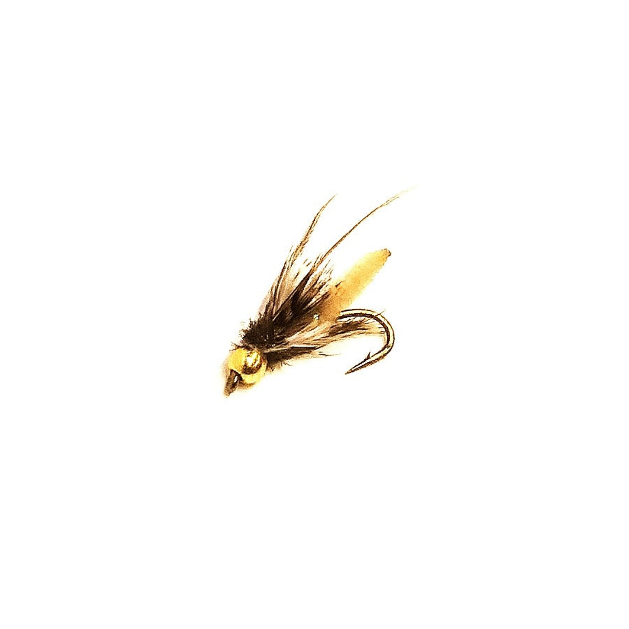 Flies By Type - Caddis Nymphs – Fish Tales Fly Shop