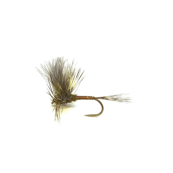 Solitude Flies Harrop's CDC Thorax Mayfly Dry Fly