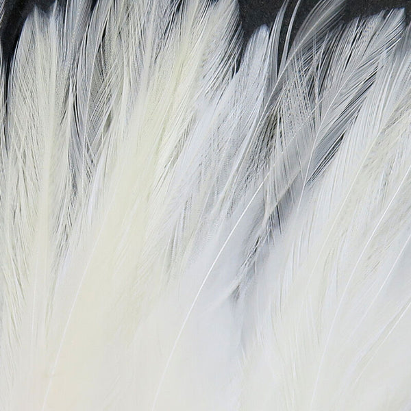Spirit River UV2 Strung Saddle Hackle