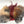 Whiting Farms CDL Tailing Pack