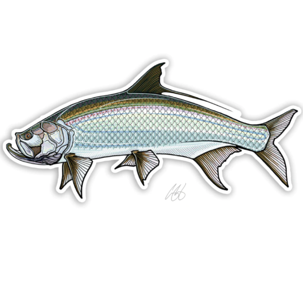 Casey Underwood Tarpon Decal