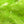 Textreme Ice-Translucent Chenille