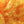 Textreme Neon Opaque Fritz