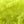 Textreme Neon Opaque Fritz