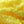 Close up of Textreme Pearl Eggstasy Fly Tying Egg Yarn in fluorescent sunburst.