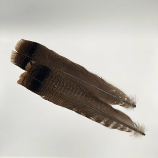 Wapsi Ozark Cinnamon Tip Turkey Feathers