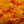 Close up bundle of Upavon Two-Tone Blob Fritz for fly tying in sunburst, showing the chenille's fluffy texture.