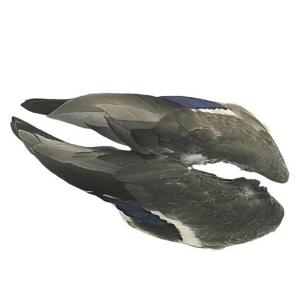 Veniard Mallard Duck Wing Pair