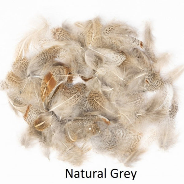 A pile of natural grey English partridge neck feathers on a white background.