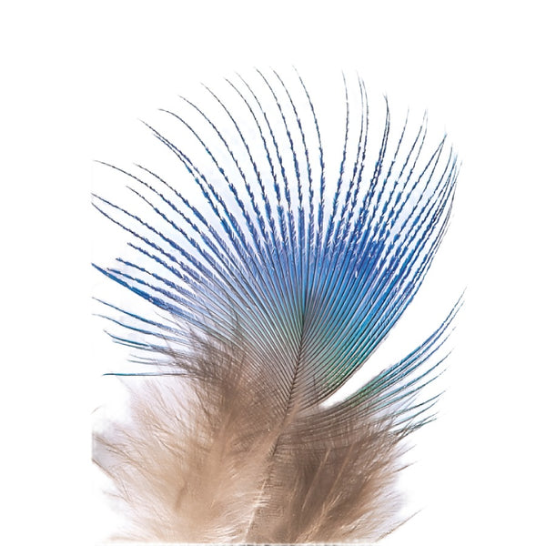 Veniard Peacock Blue Neck Feathers