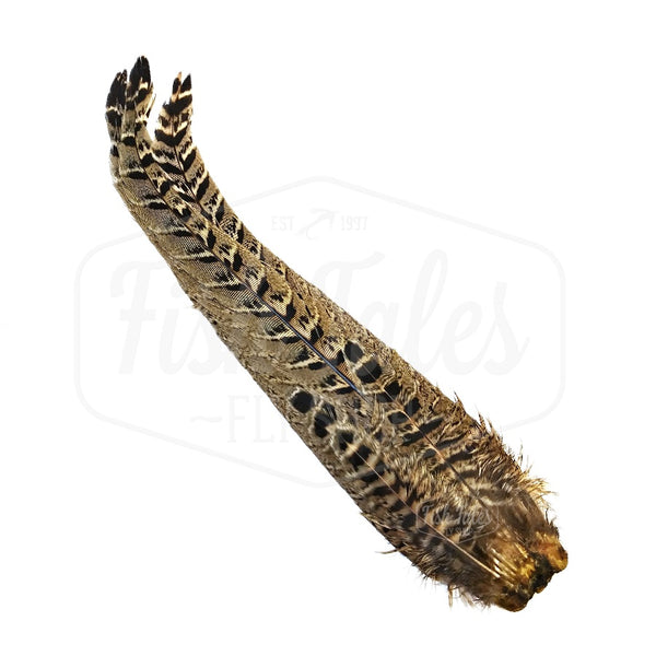 Veniard Hen Ringneck Pheasant Complete Tail