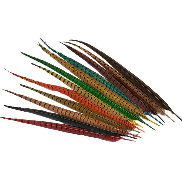 Assorted colorfully dyed Veniard Pheasant center tail feathers on a white background.