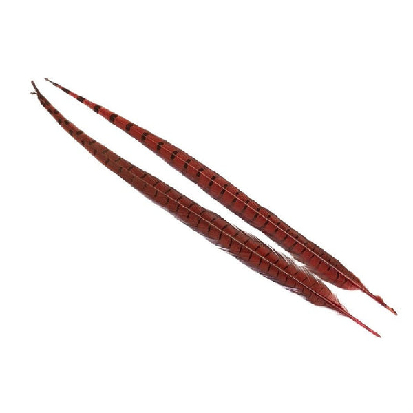 Two red dyed Veniard Pheasant Center Tail feathers on a white background.