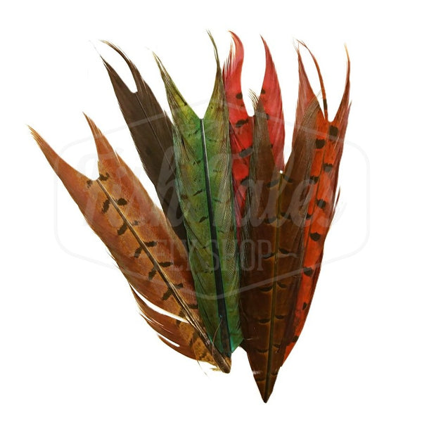 A group of center sections of Veniard Pheasant Tail dyed in mixed colors on a white background.