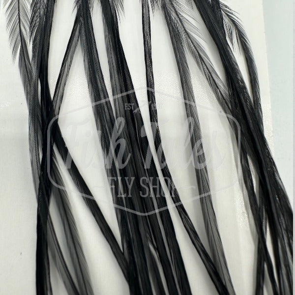 Whiting Farms 100-Pack Saddle Hackle