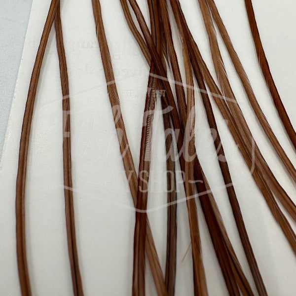 Whiting Farms 100-Pack Saddle Hackle