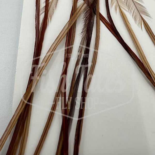 Whiting Farms 100-Pack Saddle Hackle